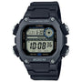 CASIO DW-291HX-1AV