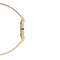 Daniel Wellington Petite Evergold 28mm