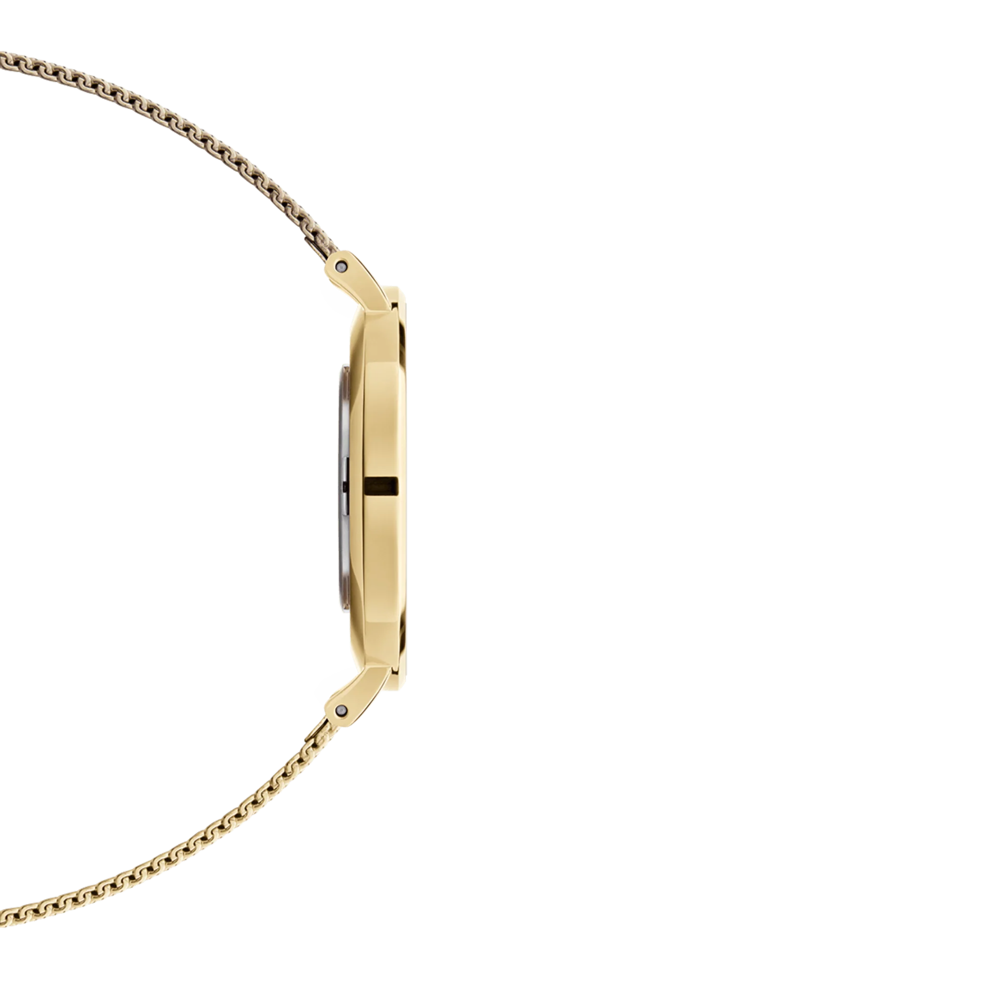 Daniel Wellington Petite Evergold 28mm