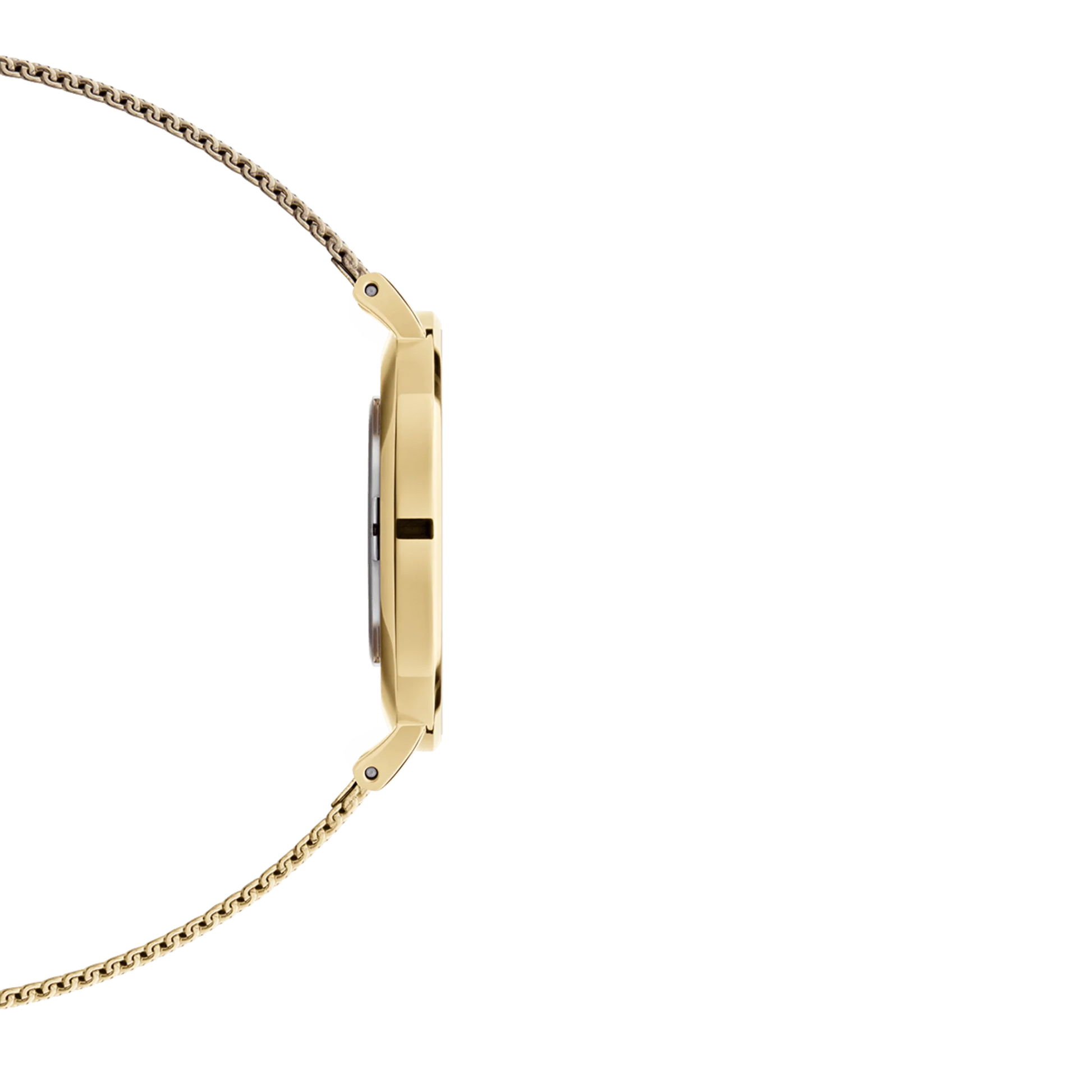 Daniel Wellington Petite Evergold Black 32mm