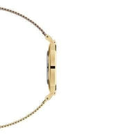 Daniel Wellington Petite Evergold Gold Watch 32mm